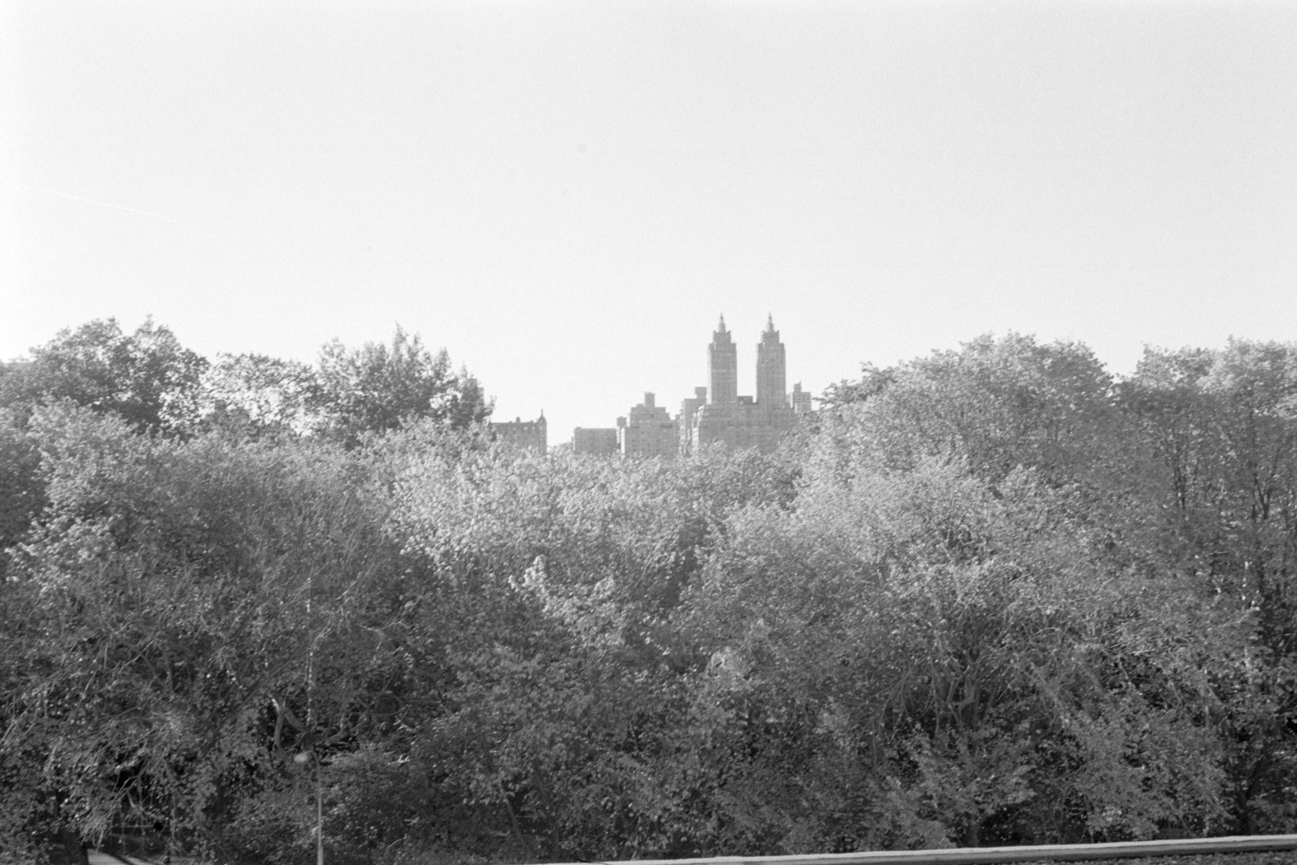 AHP FilmScan 240807 0831